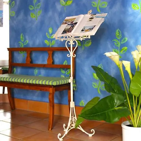 Schiff-battello Otel Ascona