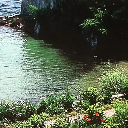 Schiff-battello Otel Ascona